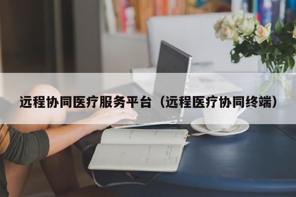 远程协同医疗服务平台（远程医疗协同终端）